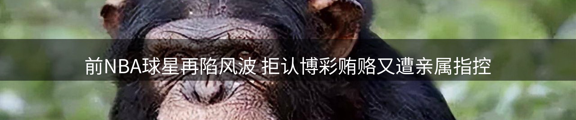 网站资讯
