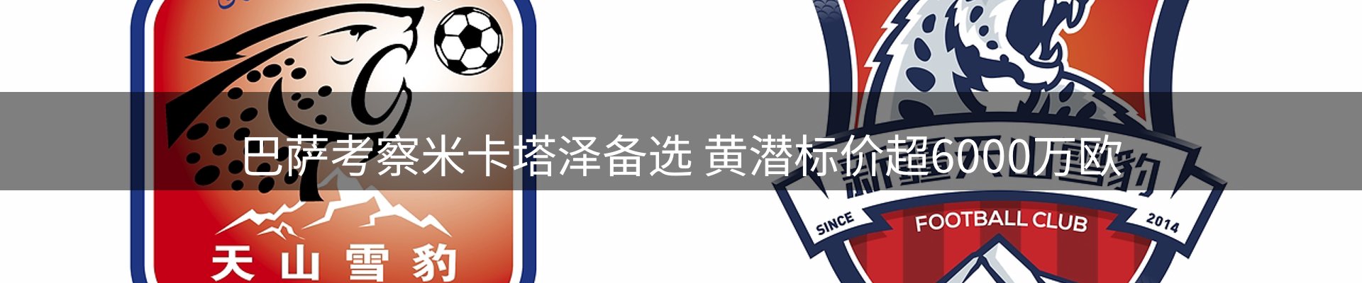 网站资讯