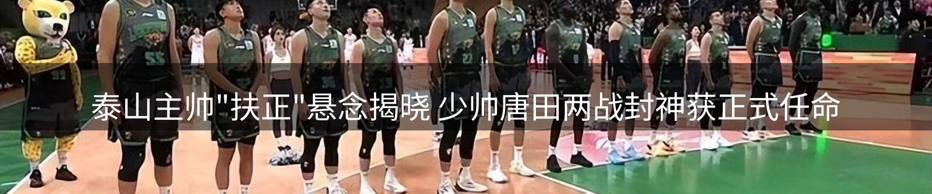 网站资讯