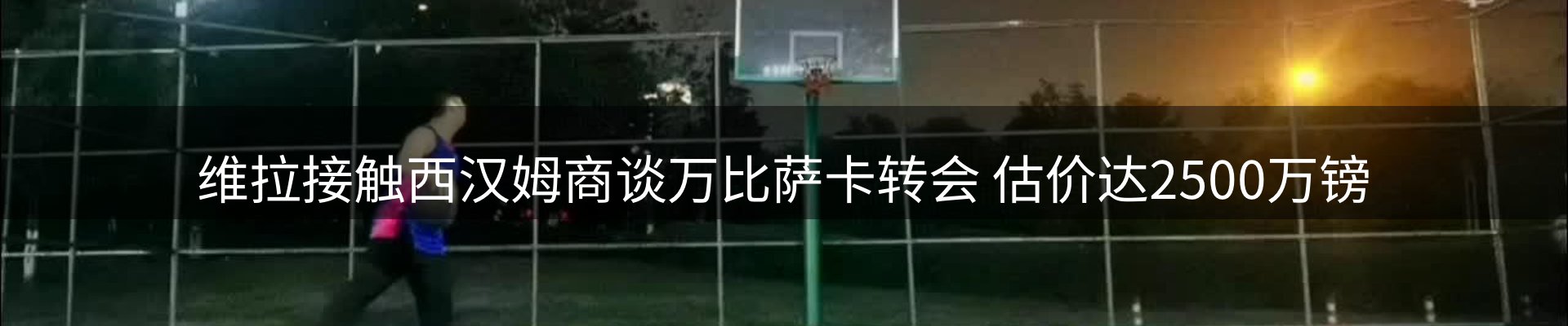 网站资讯