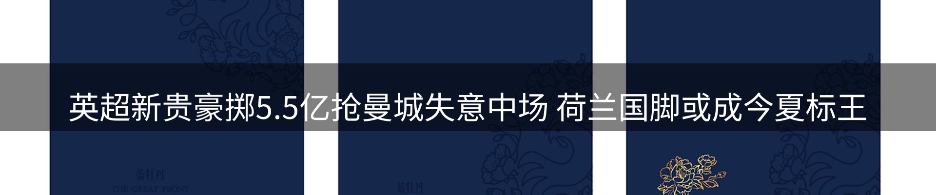 网站资讯