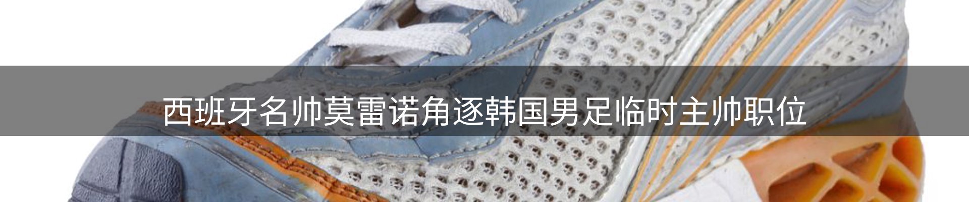 网站资讯