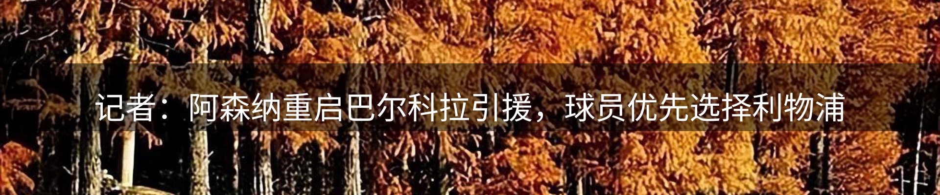 网站资讯