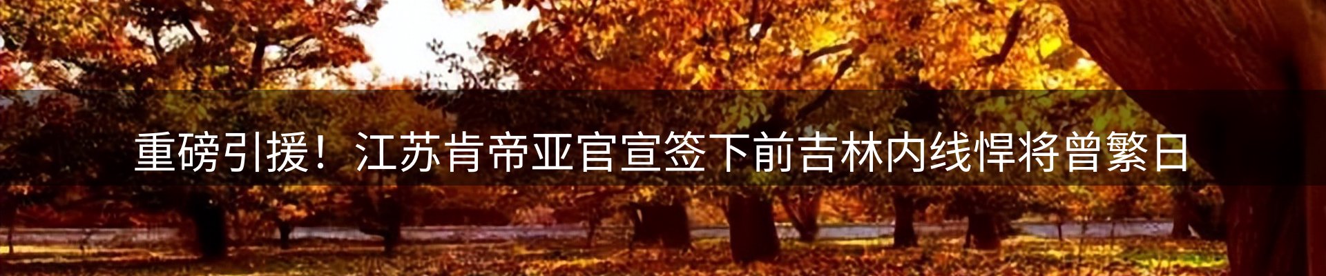 网站资讯