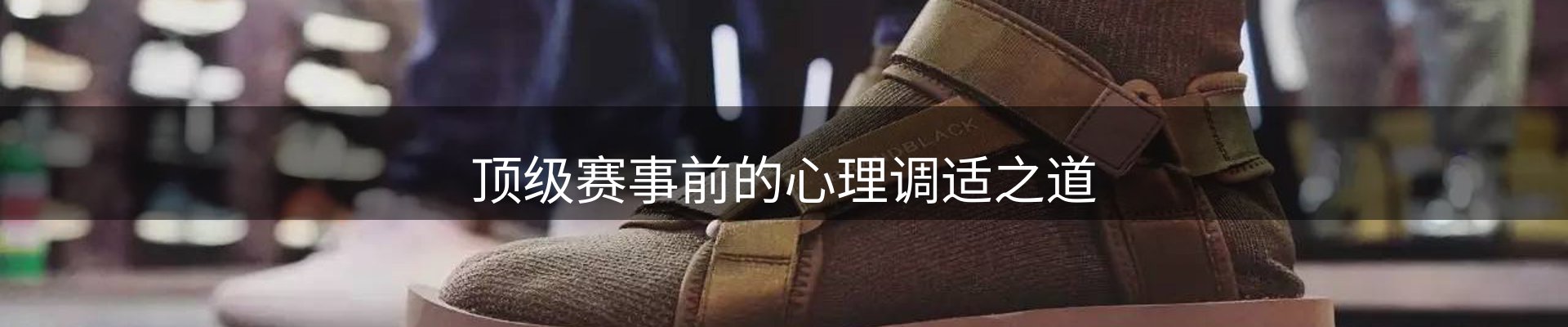 网站资讯