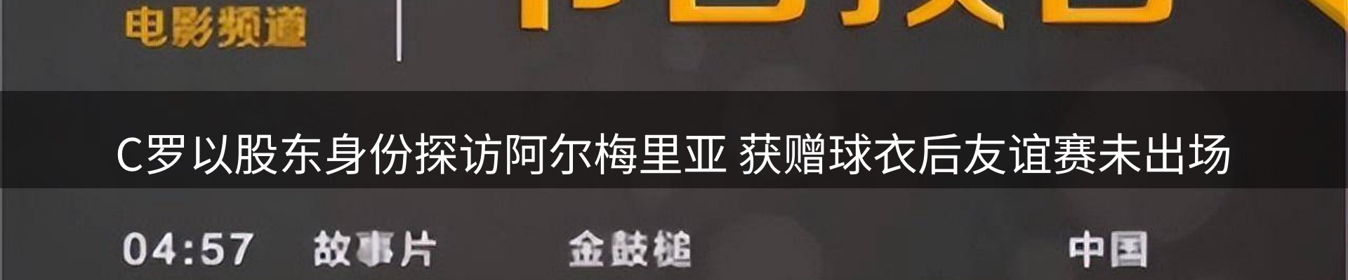 网站资讯